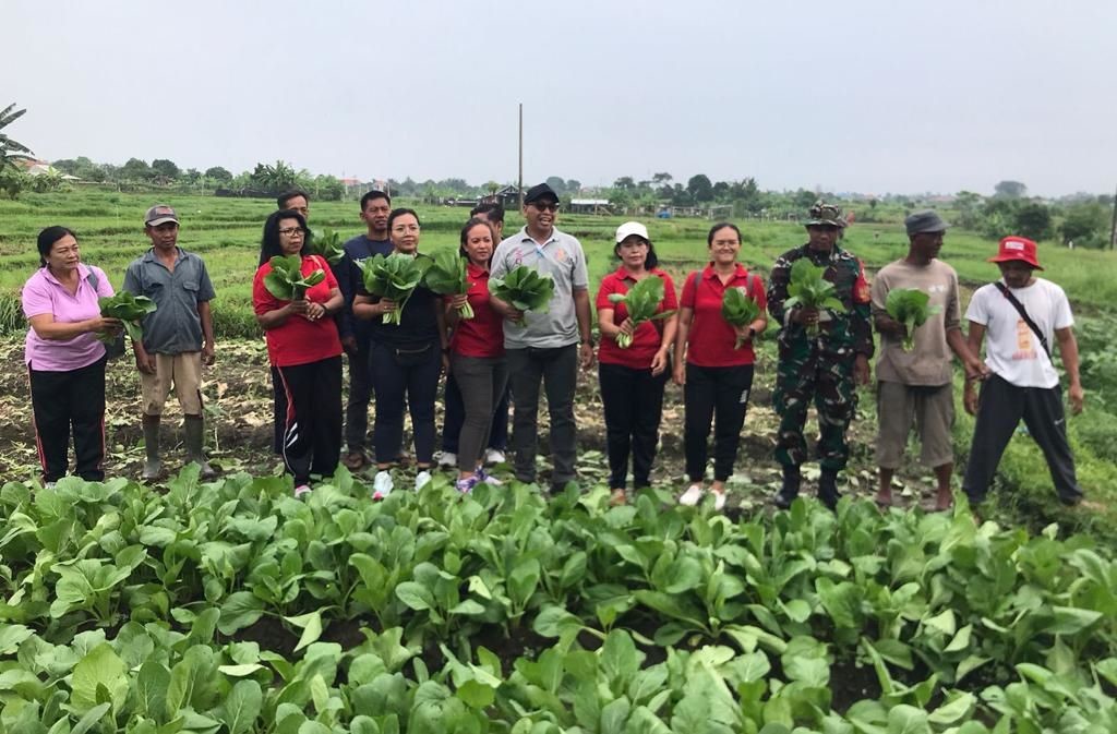 panen sayur di subak sembung