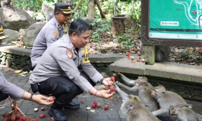 polres gianyar di monkey forest