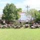 wakapolresta denpasar