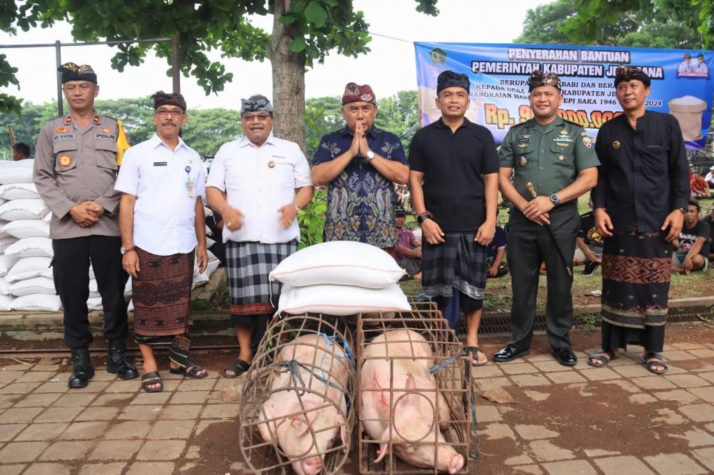 bantuan babi dan beras bupati jembrana