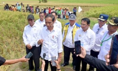 indonesia vietnam