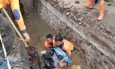 laka lantas Goa Gajah