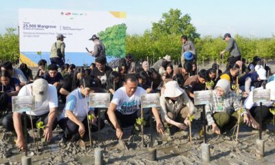 gerakan penanaman mangrove