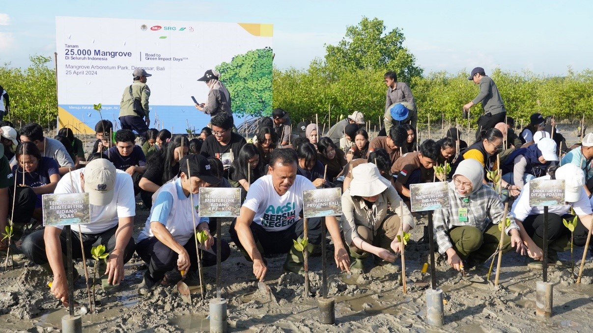 gerakan penanaman mangrove