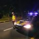 patroli wwf
