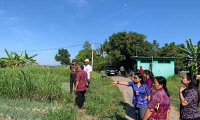 ketahanan pangan buleleng