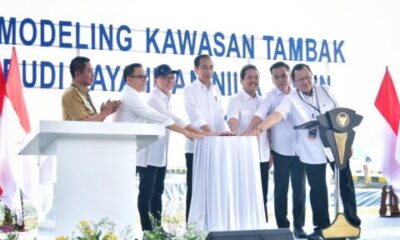 tambak budi daya ikan nila