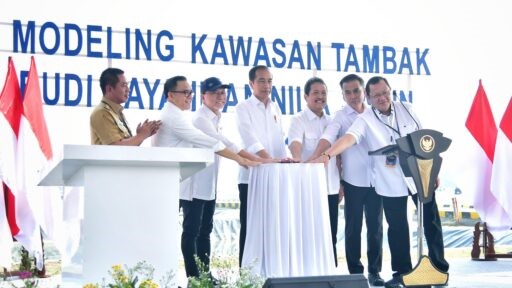 tambak budi daya ikan nila