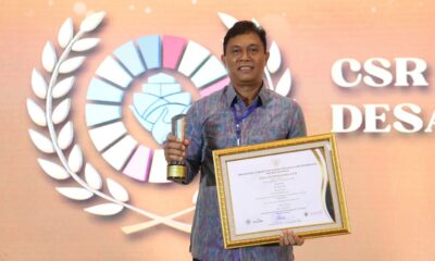 desa binaan pln