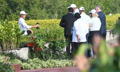 presiden jokowi dan delegasi wwf kunjungi tahura bali