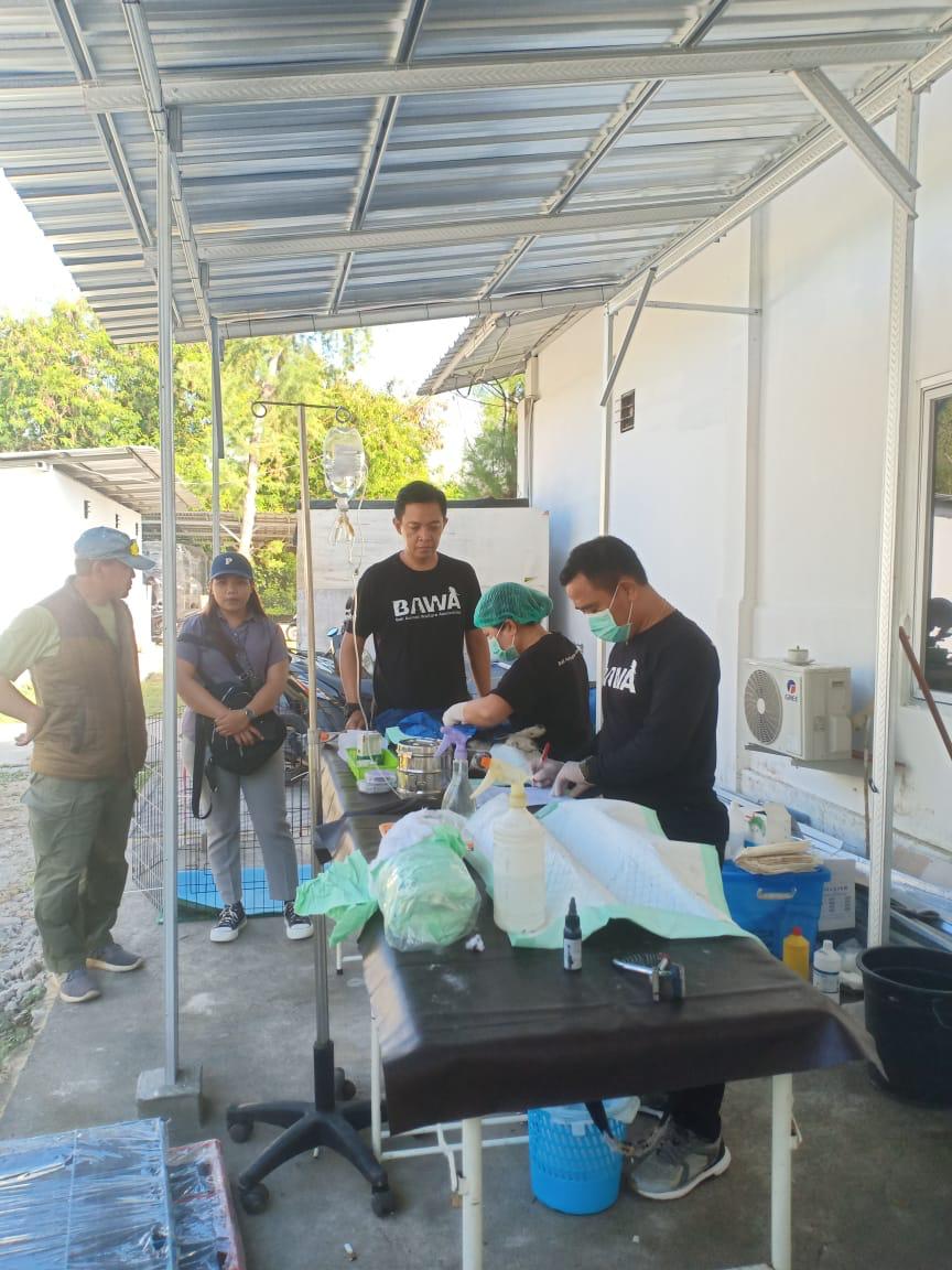 vaksinasi rabies di serangan