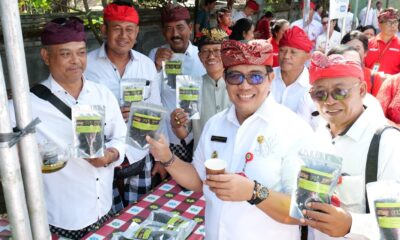 bungan desa tabanan