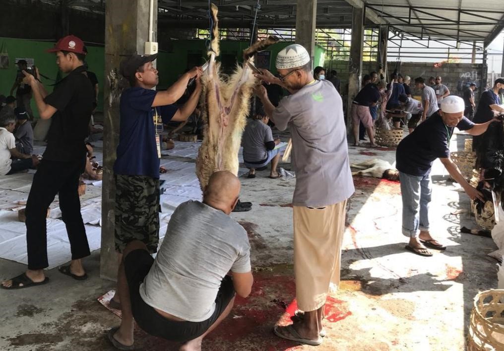 kesehatan daging kurban