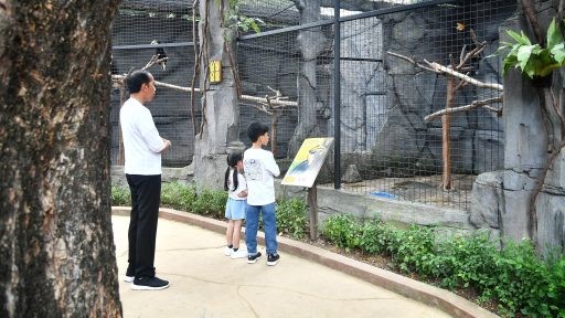 Presiden di solo safari