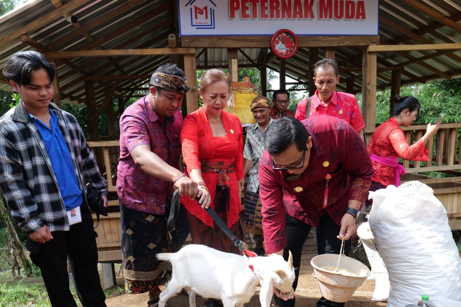 bungan desa tabanan