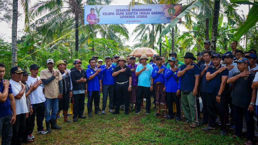 komoditi pertanian unggulan jembrana