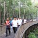 jalan sehat hut provinsi bali