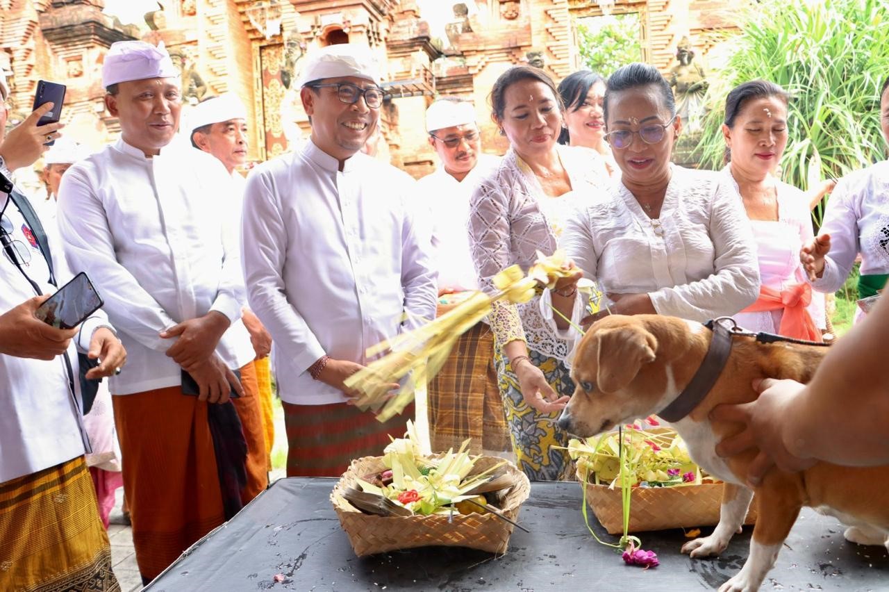 Tumpek Uye di denpasar