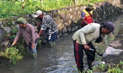 jumat bersih desa kertalangu