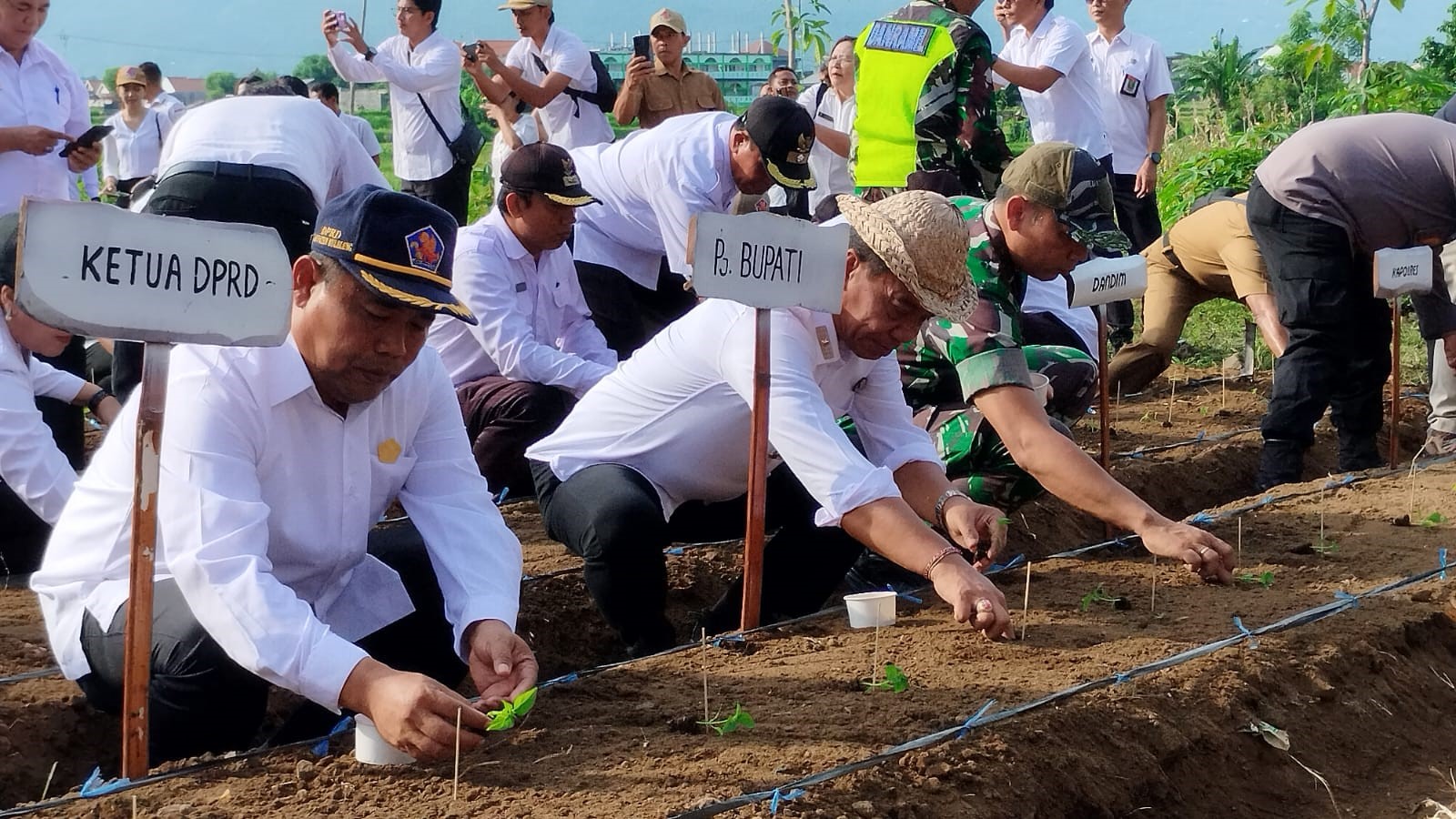 hari desa di buleleng