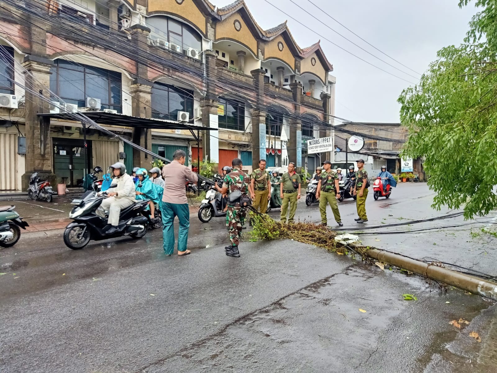 pohon tumbang di jalan nakula