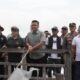 lomba perahu di gilimanuk