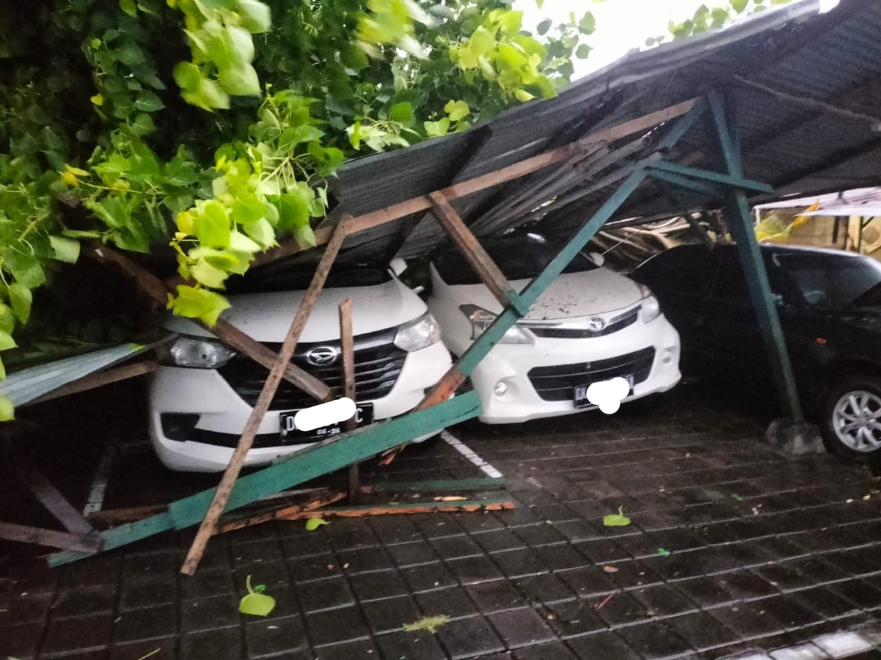 pohon tumbang tni kuta