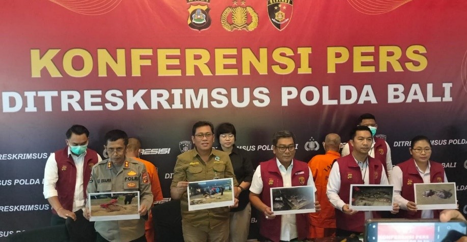 penyelundupan penyu hijau