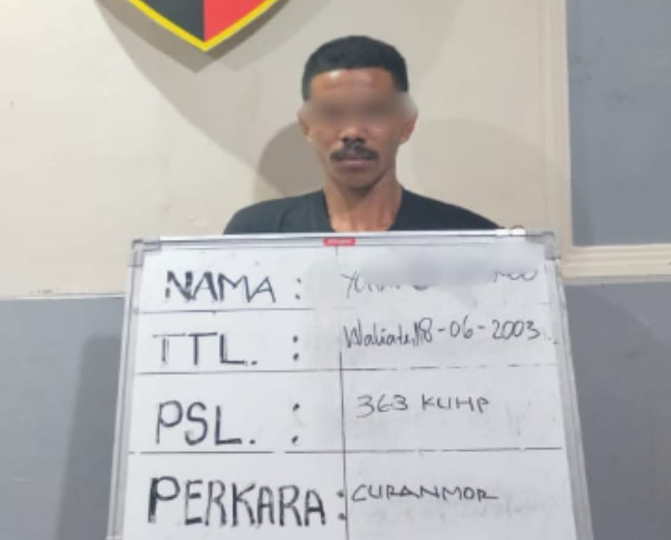 Polsek Dentim