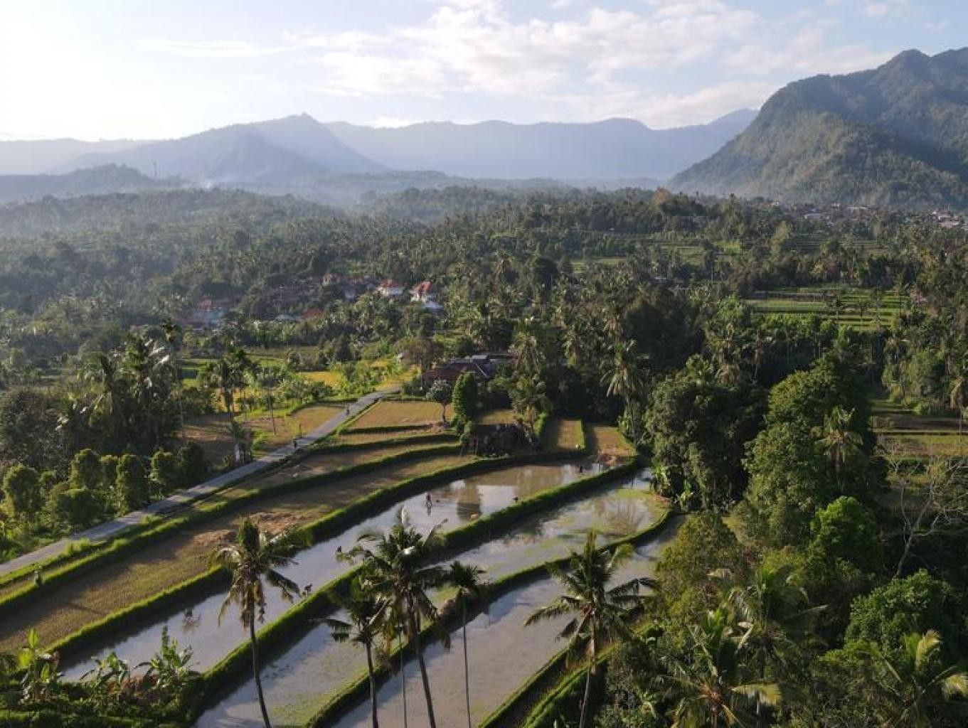 desa wisata buleleng