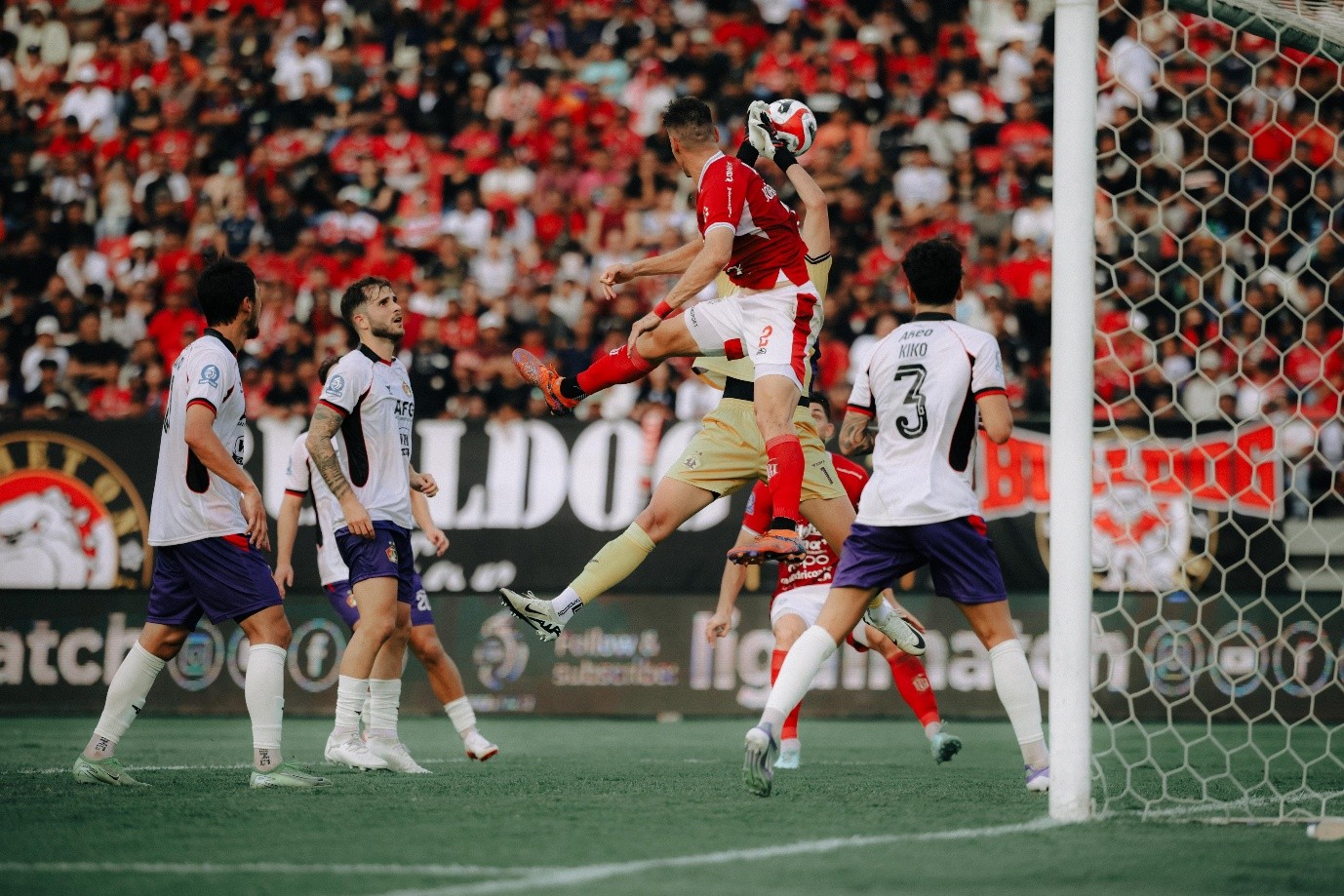 bali united