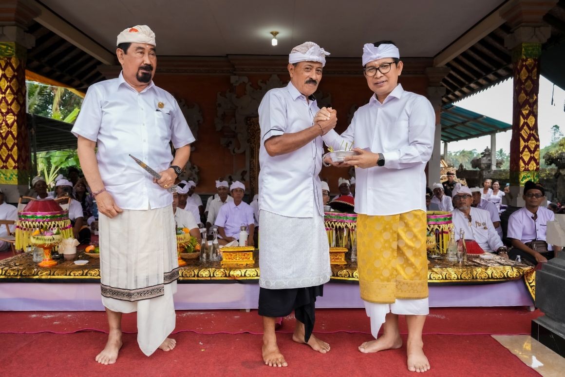 Bupati Adi Arnawa