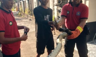 Damkar buleleng