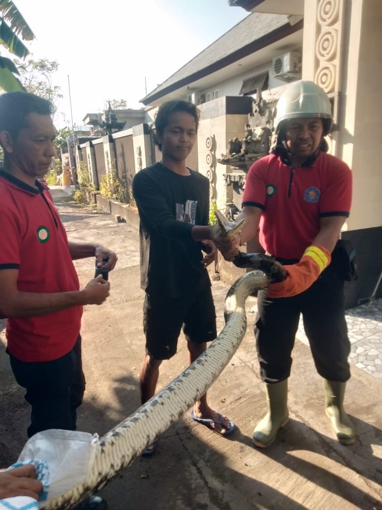 Damkar buleleng