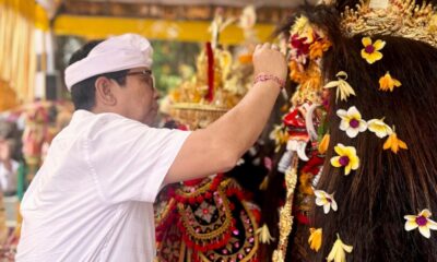 bupati adi arnawa