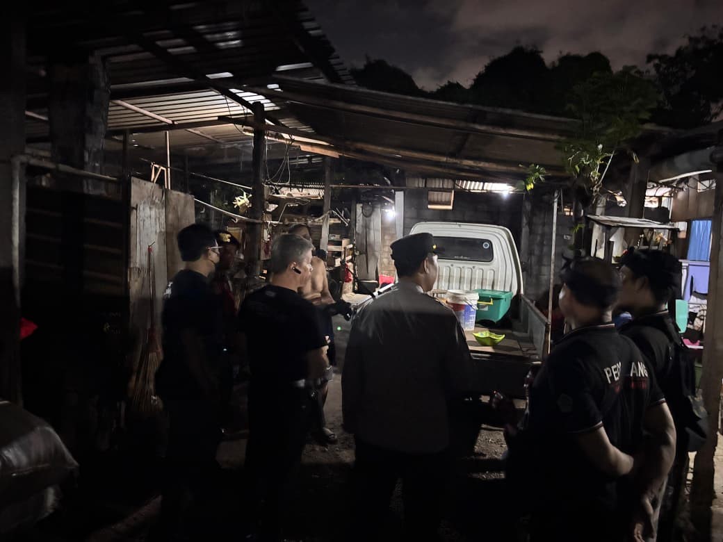 perdagangan anjing di Tohpati