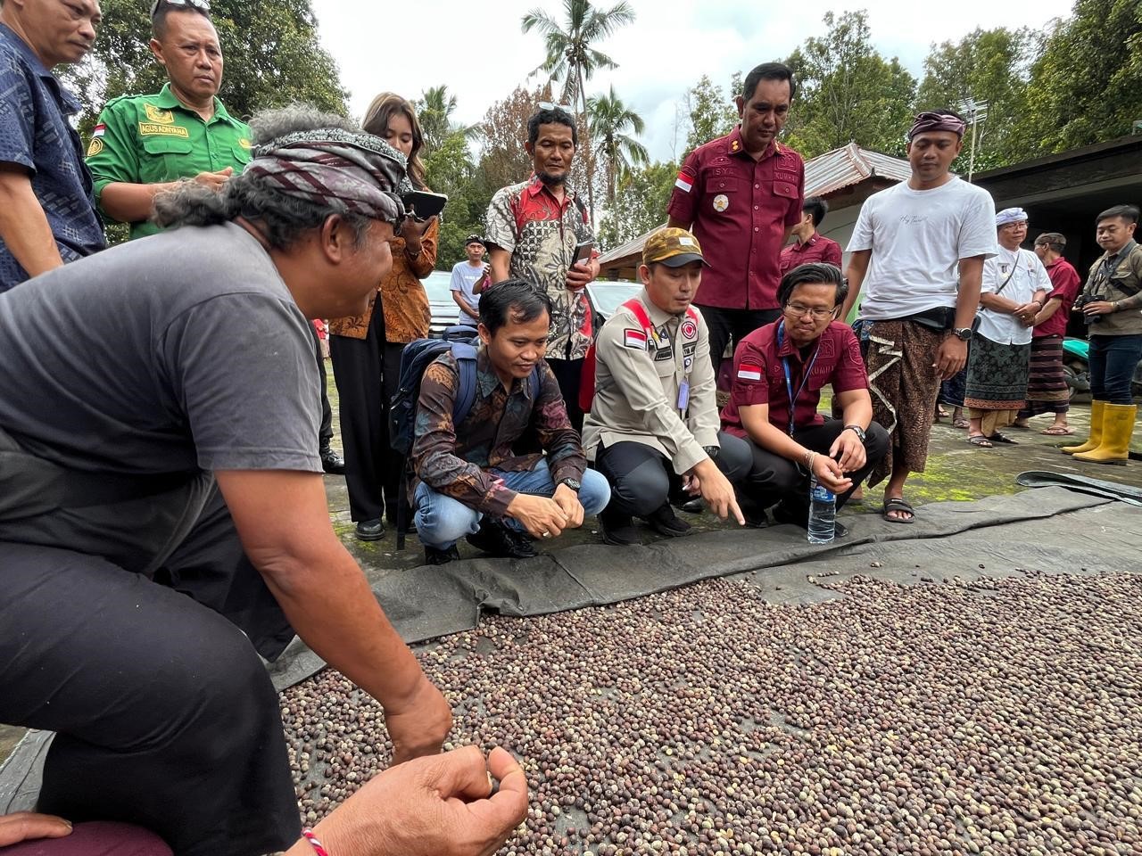 Kopi Lemukih