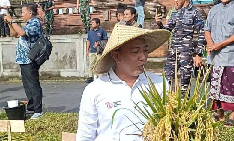 panen raya di Subak Taman