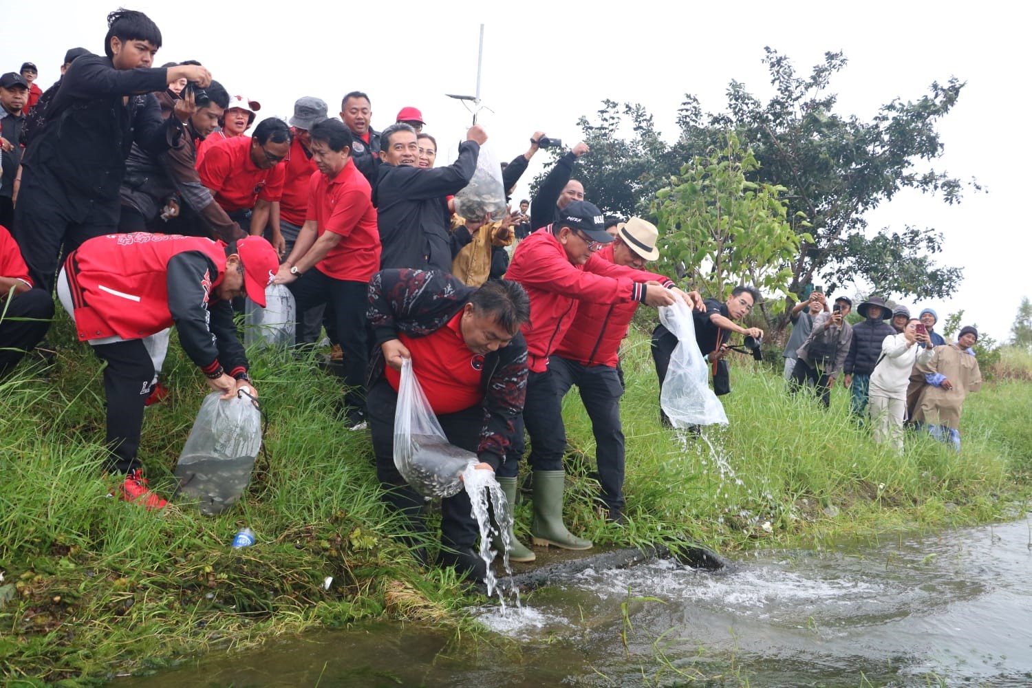 pdip bali
