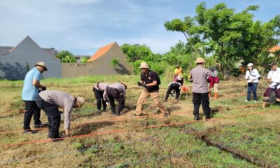 jagung manis denpasar