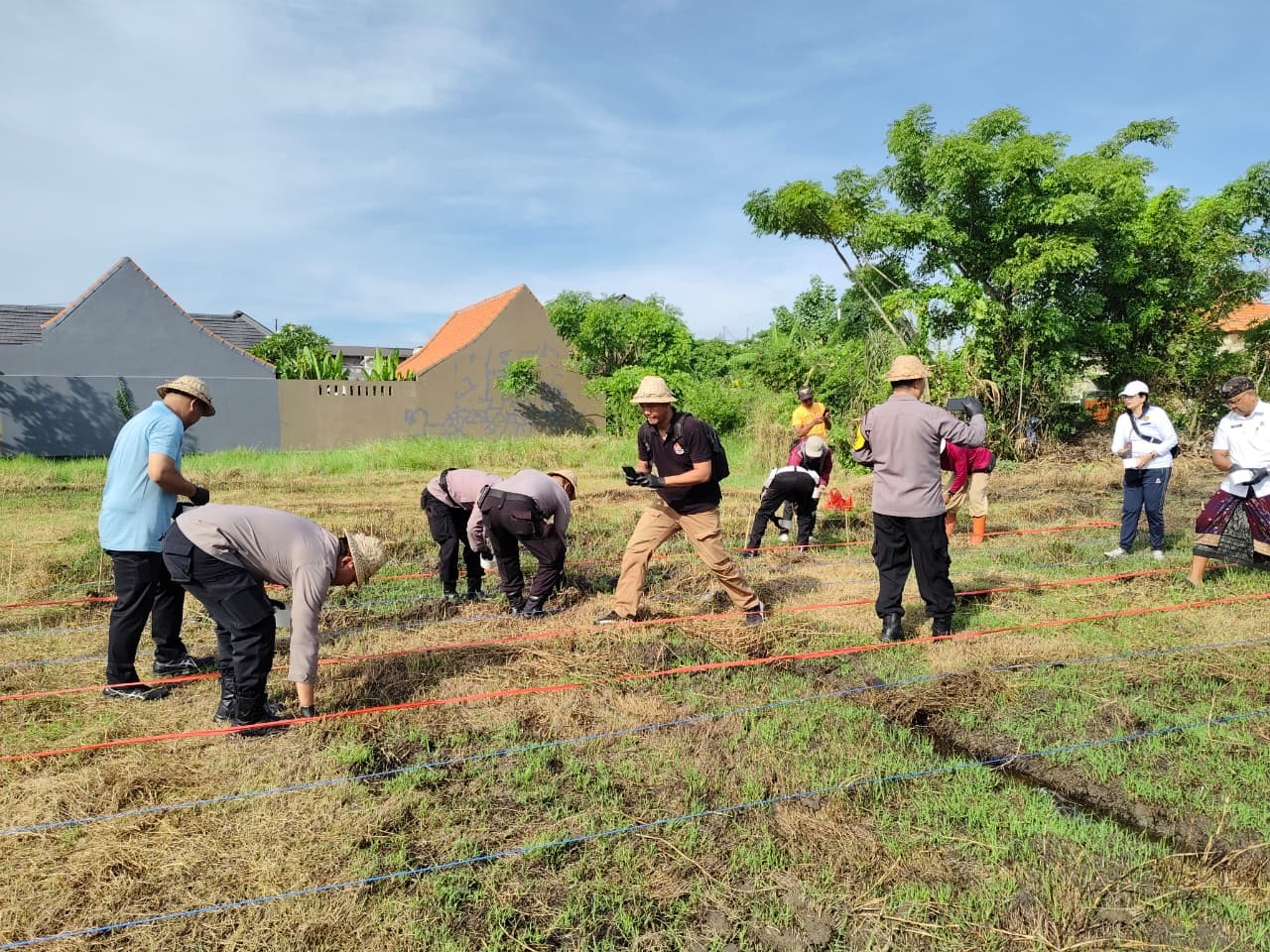 jagung manis denpasar