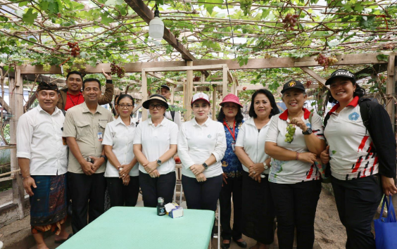 Ketua TP PKK Denpasar melaksanakan panen bersama sekaligus meninjau budidaya tanaman anggur di Subak Peraupan Barat, Denpasar Utara
