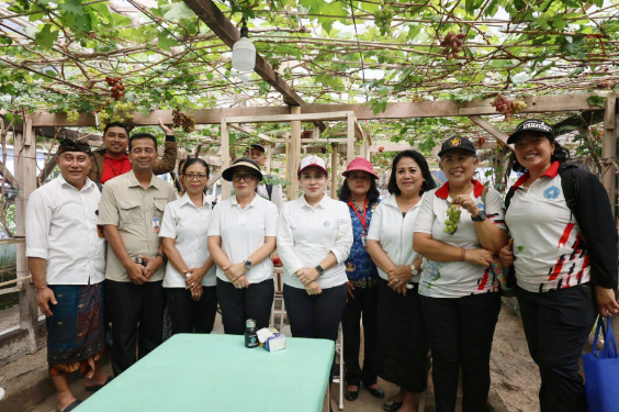 Ketua TP PKK Denpasar melaksanakan panen bersama sekaligus meninjau budidaya tanaman anggur di Subak Peraupan Barat, Denpasar Utara