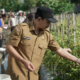 tpid badung
