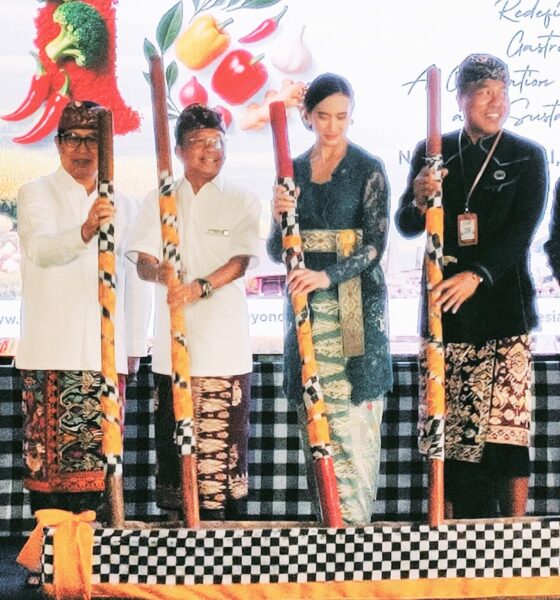buka bbtf