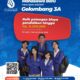 iklan stikom bali