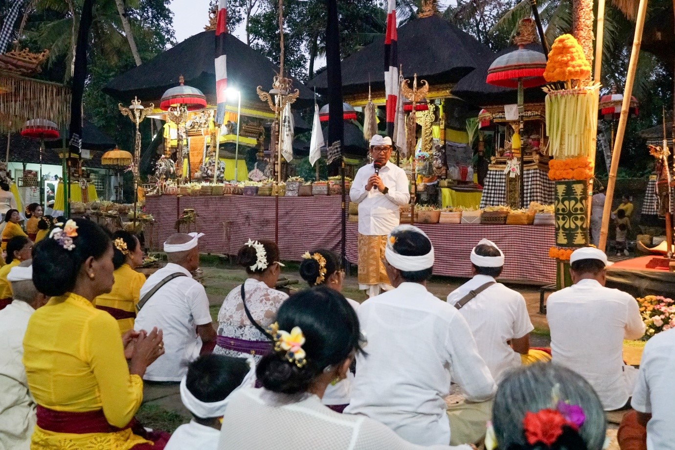 Bupati Adi Arnawa