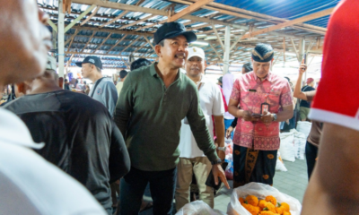 stabilitas harga pangan badung