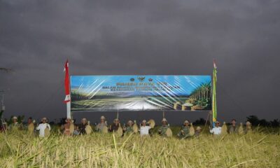 Pangdam IX/Udayana Mayjen TNI Piek Budyakto melakukan panen raya bersama Forkopimda Provinsi Bali dan kelompok tani di Tabanan.