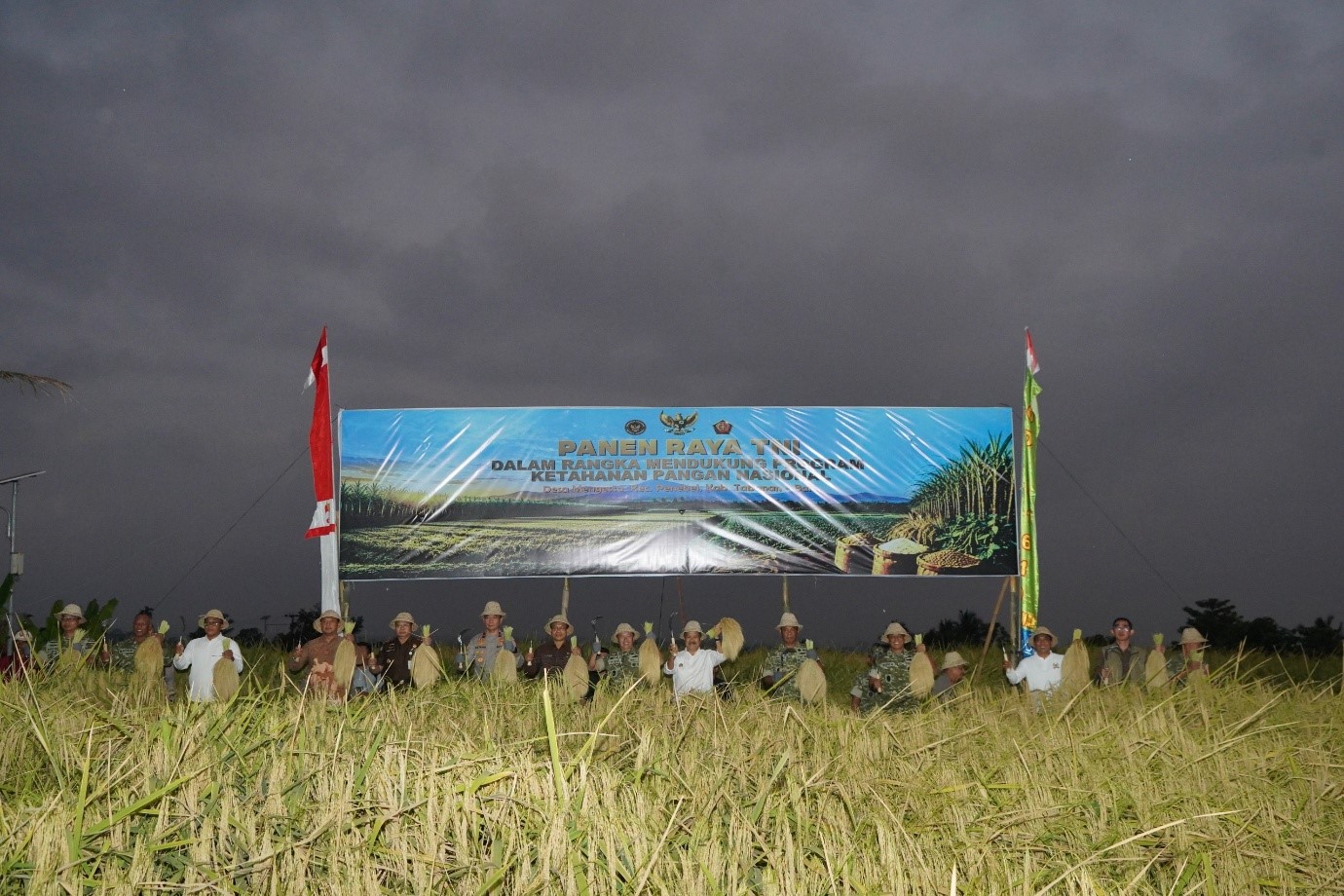Pangdam IX/Udayana Mayjen TNI Piek Budyakto melakukan panen raya bersama Forkopimda Provinsi Bali dan kelompok tani di Tabanan.